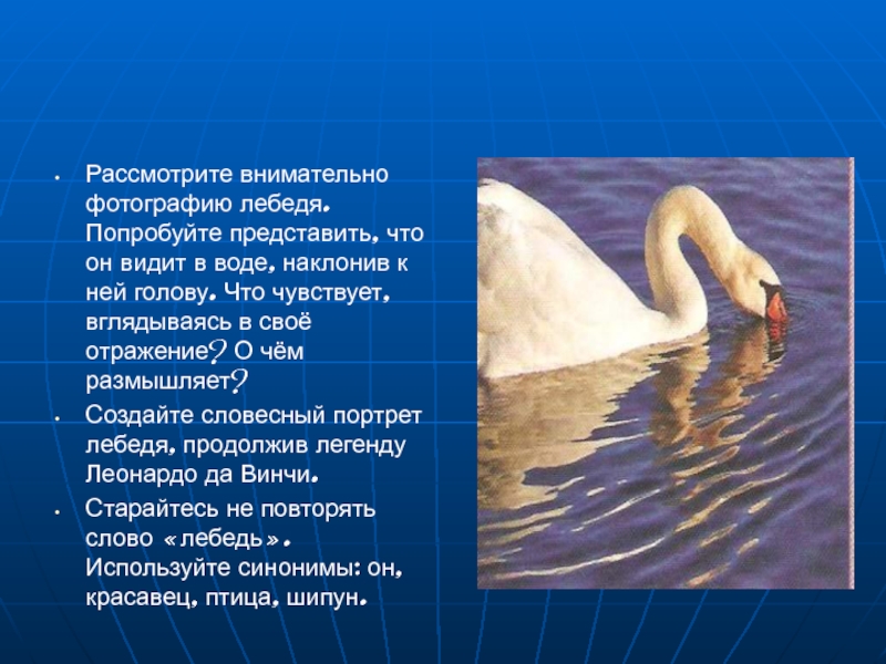 Белый лебедь произведение. Лебедь для презентации. Энциклопедия про лебедей. Описание лебедя. Научные факты о лебедях.