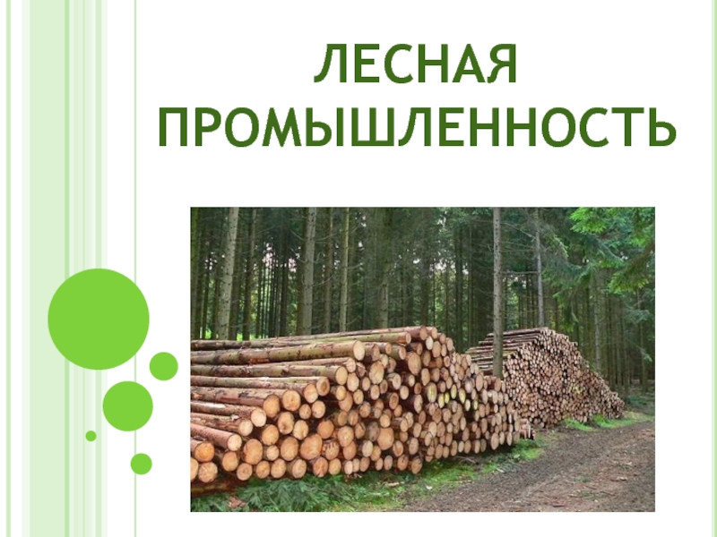 Реферат: Лесная промышленность и деревообработка в Украине