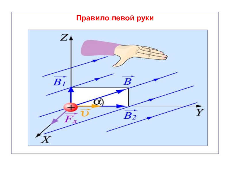 Правило левой руки физика рисунок