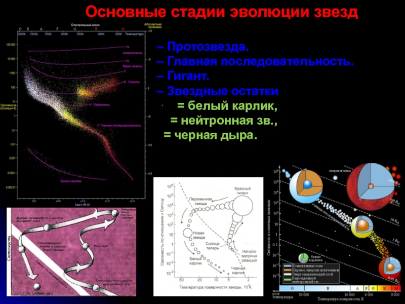 Звезды главной последовательности презентация