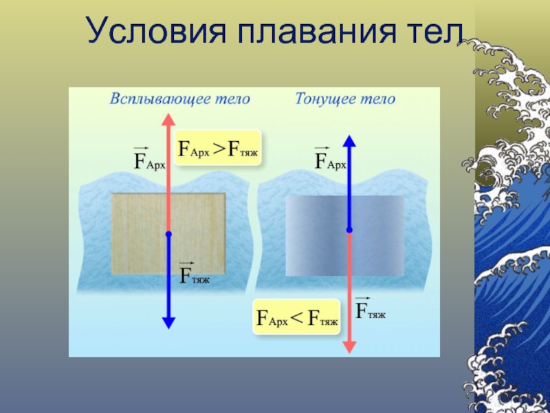 Презентация условия плавания тел