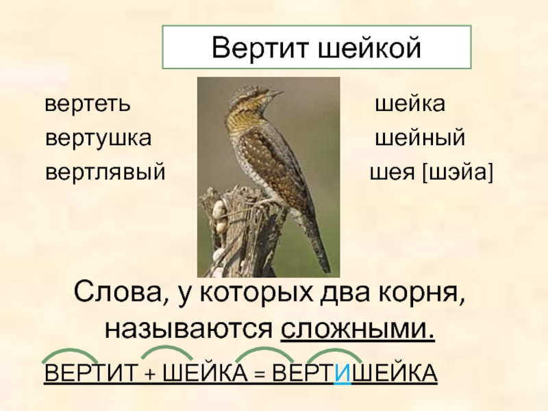 Слово вертеть