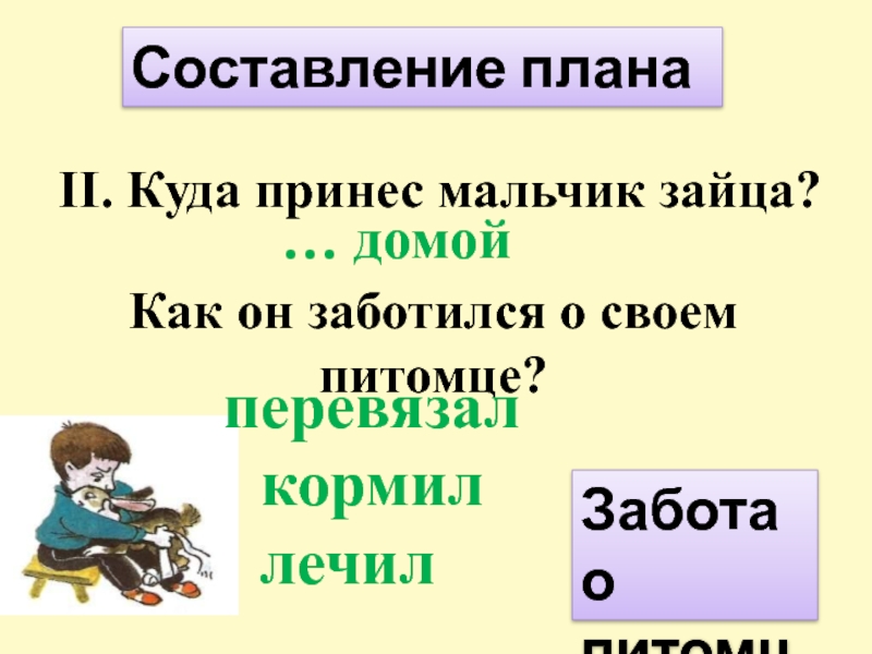 II. Куда принес мальчик зайца? Как он заботился о своем питомце?