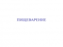 Пищеварение