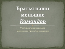 Братья наши меньшие: Комондор 1 класс