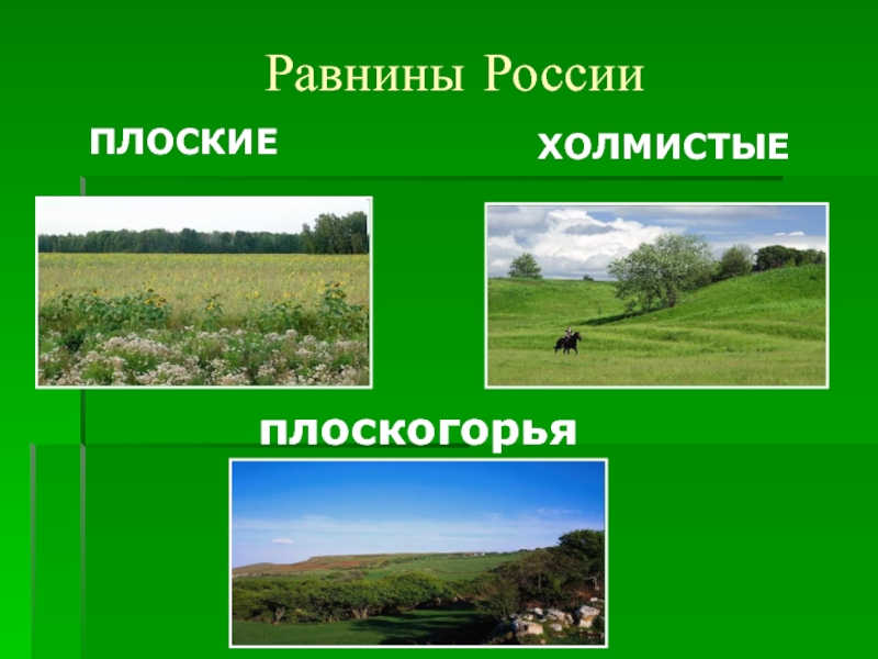 Примеры равнин в россии. Равнины России. Плоские и холмистые равнины. Равнины Плоскогорья низменности. Холмистые равнины России.