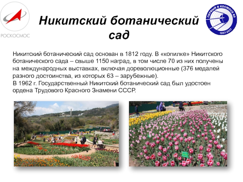 Никитский ботанический садНикитский ботанический сад основан в 1812 году. В «копилке» Никитского ботанического сада – свыше 1150
