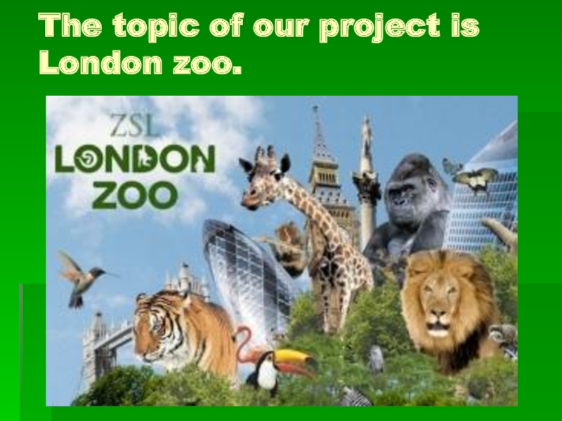 Проект. Лондонский зоопарк. 5 класс.