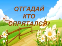 Отгадай, кто спрятался