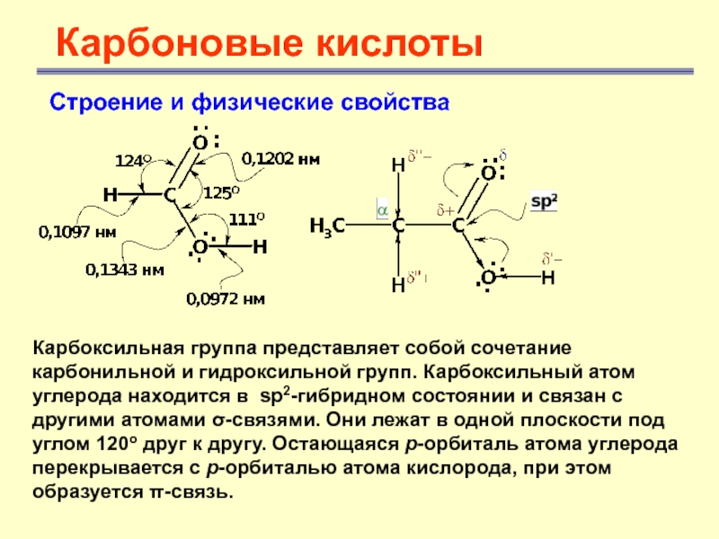 Карбоновые кислотыСтроение и физические свойства Карбоксильная группа представляет собой сочетание карбонильной и гидроксильной групп. Карбоксильный атом углерода