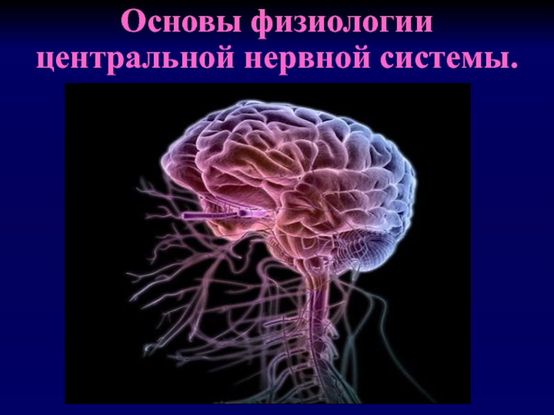 Основы физиологии центральной нервной системы