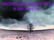 ЭВОЛЮЦИЯ ЭКОСИСТЕМ И БИОСФЕРЫ