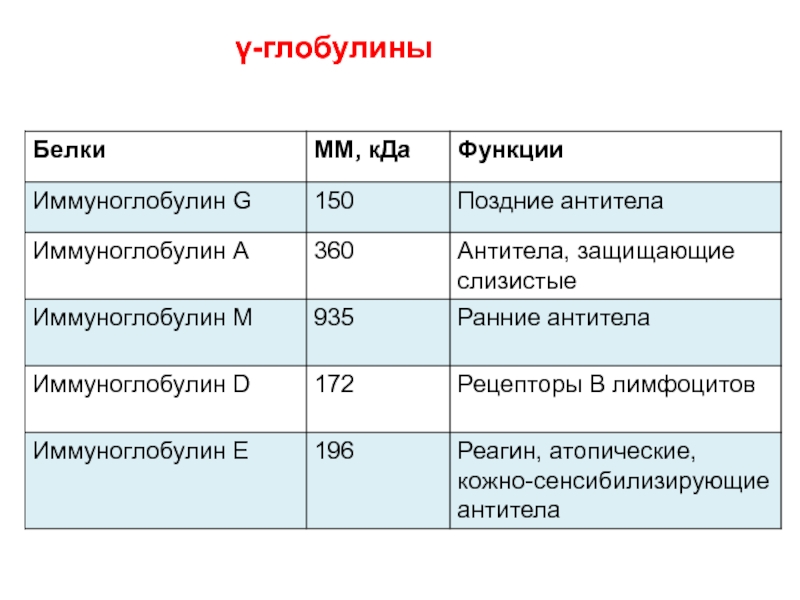 Фракции глобулинов. Гамма глобулины норма.