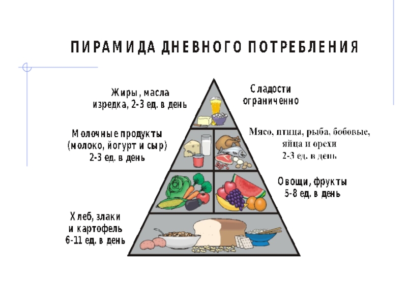 Пирамида здорового питания в картинках