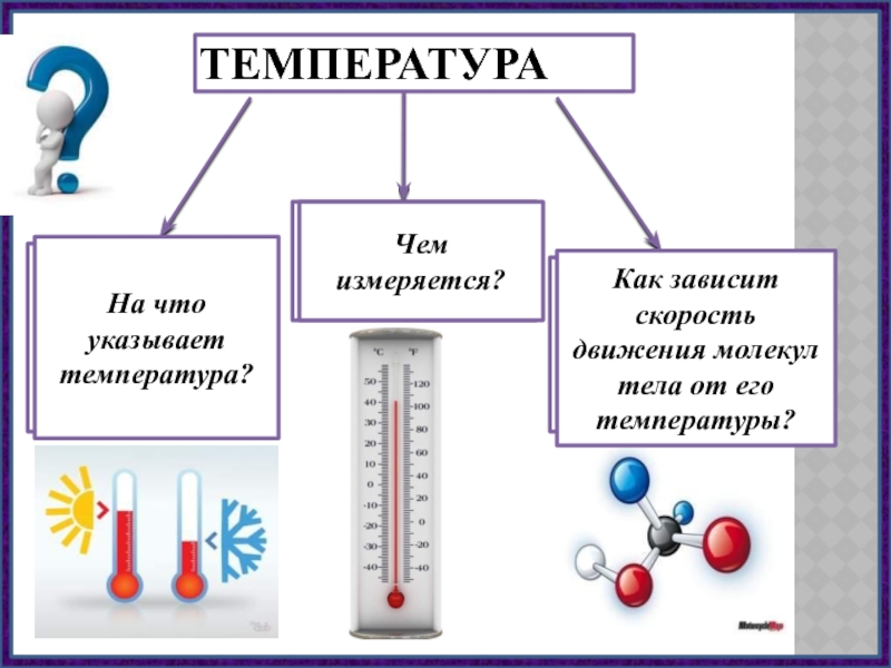 Температура презентация