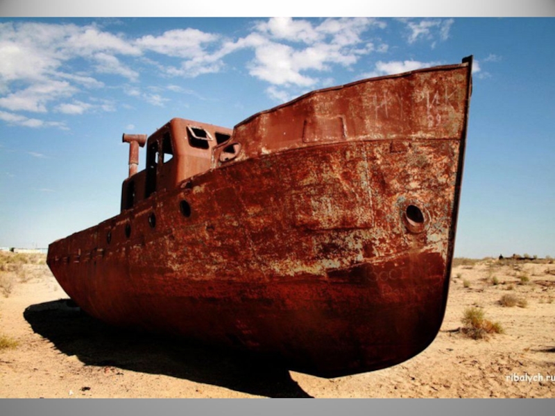 Аральское море. Обмеление Аральского моря. Aral Sea 1989. Aral Sea problem 2020. Аральское море экология.