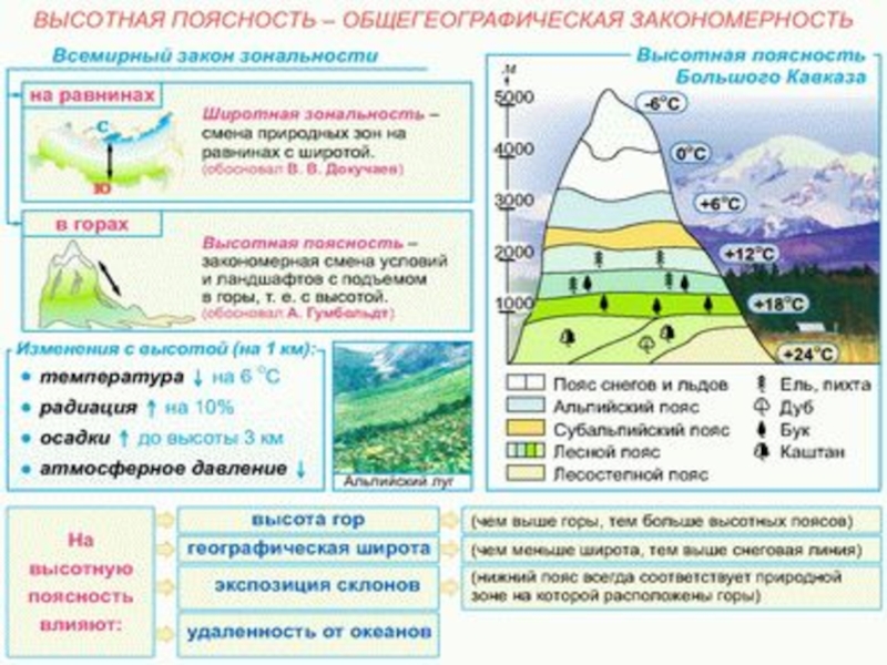 Закономерная схема природных зон и природных условий в горах называется