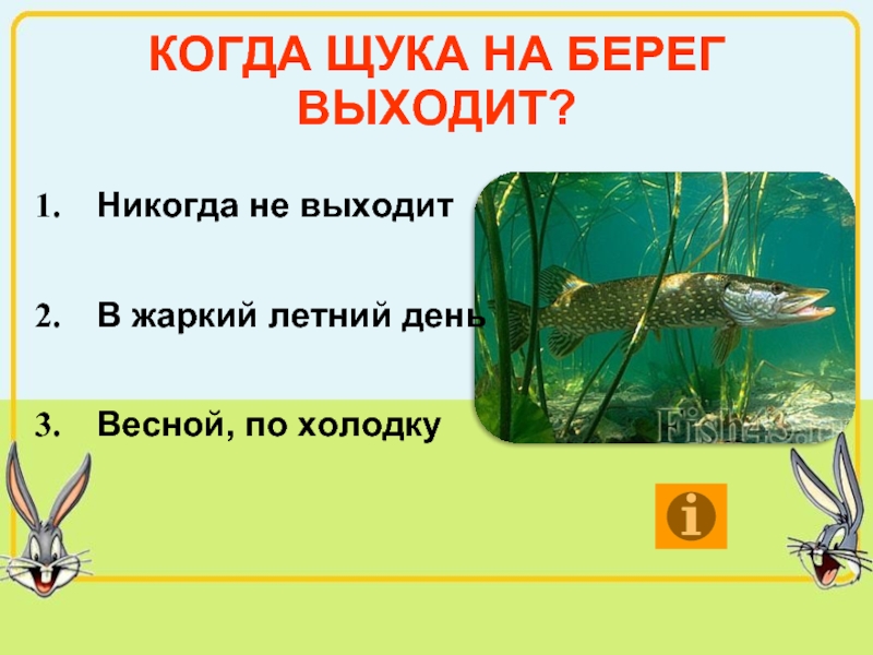 Знаешь ли ты животных. Когда щука на берег выходит. Берегите щук. Когда у щуки выход. Когда щука на берег выходит ответ.