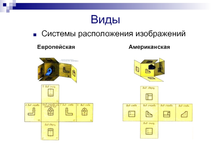 Как расположена система. Европейская система расположения видов. Расположение видов. Европейская система изображения видов. Европейская система видов на чертеже.