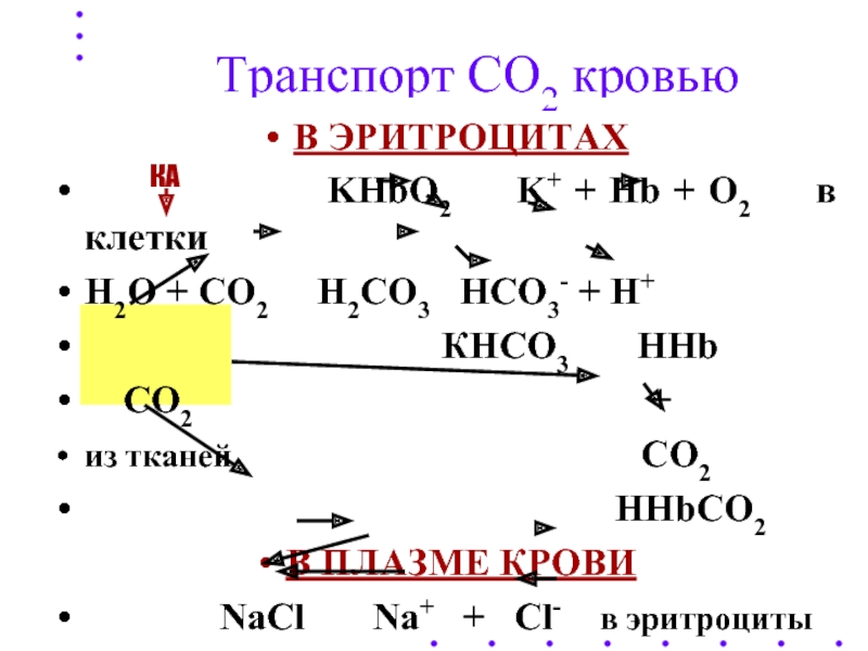 Дыхание транспорт газов. Транспорт со2 кровью. Транспорт со2 кровью физиология. Эритроциты 2. 2кнсо3.