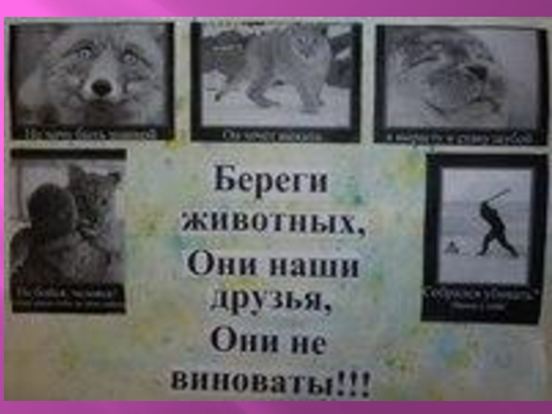 Книжка малышка береги животных обложка картинки