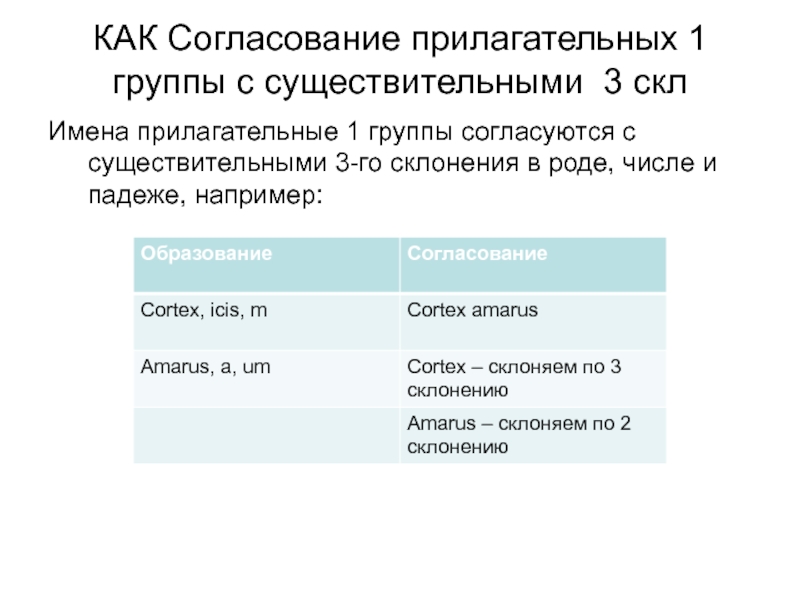 КАК Согласование прилагательных 1 группы с существительными 3 склИмена прилагательные 1 группы согласуются с существительными 3-го склонения