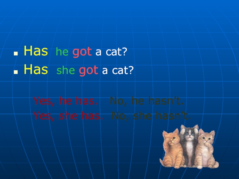 Got a cat перевод на русский. She has got a Cat. Has he got a Cat. Cat have has или had. Cats has got или have.