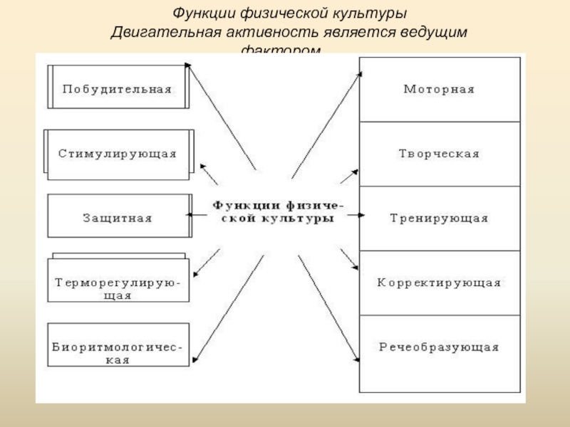 Физические функции. Функции физической культуры. Высшие физические функции. Ряд функций физического лица. Высшие физические функции являются.