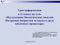 Исследование биологических моделей. Построение биоритмов человека в среде табличного процессора