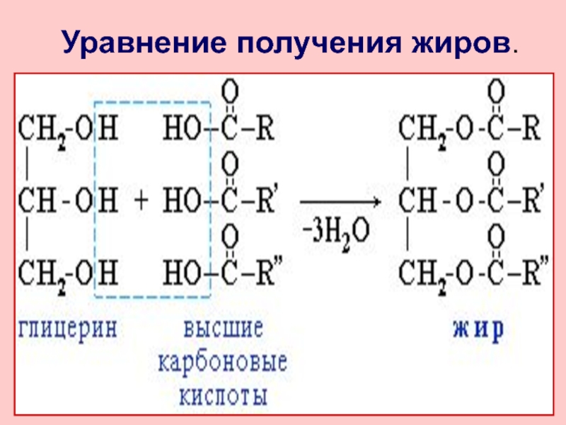 Состав жиров. Реакция образования жира. Образование жира уравнение. Уравнения реакций образования жиров.. Жиры получение химия.