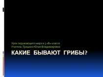 Какие бывают грибы?