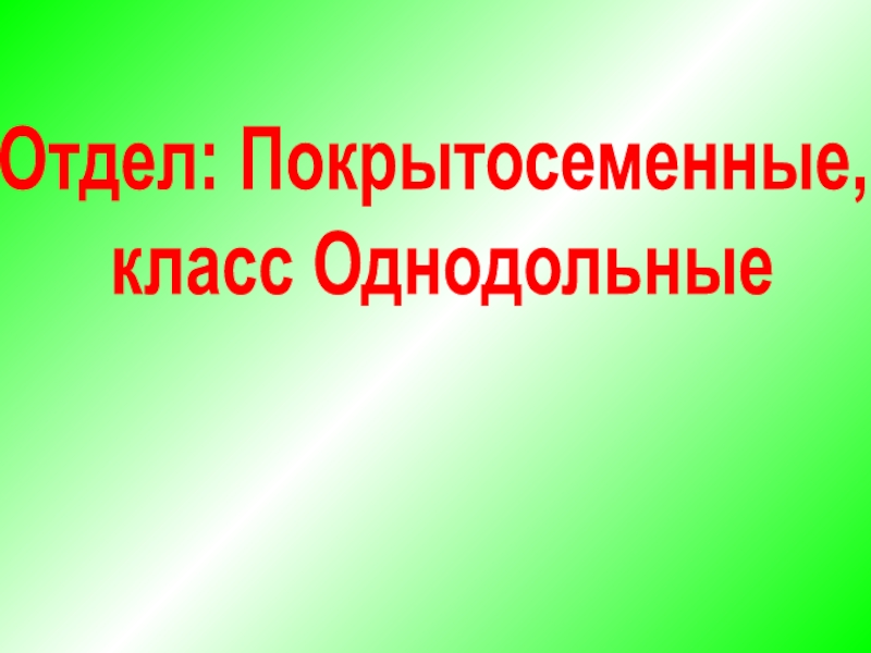 Презентация Отдел: Покрытосеменные, класс Однодольные