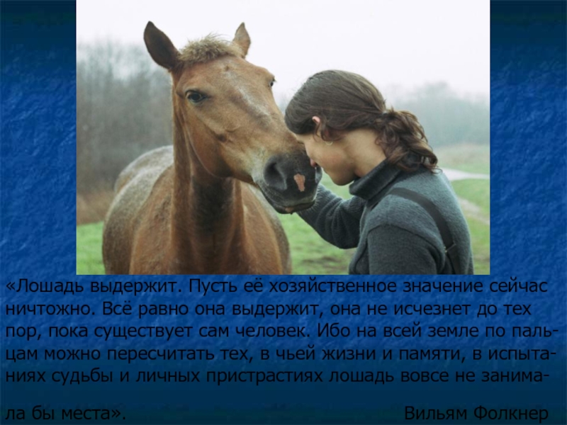 Основная мысль рассказа о чем плачут лошади. Хозяйственное значение лошади. Лошадь плачет. Лошадь плачет фото. Презентация на тему лошади.