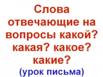 Слова отвечающие на вопросы :какой? какая? какое? какие?