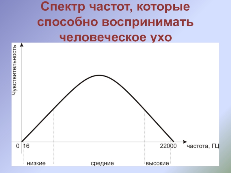 Какой диапазон частот способно улавливать ухо человека. Волны каких частот способно воспринимать человеческое ухо. Частота чувствительности человеческого уха.