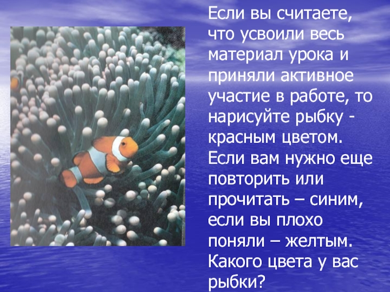 Жизнь организмов в морях и океанах 5 класс биология презентация