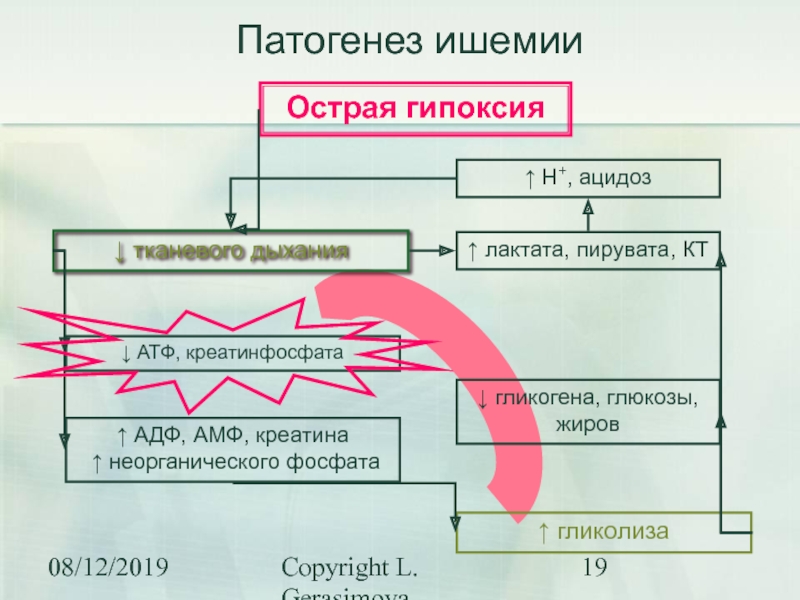 Механизм развития дыхательной гипоксии. Механизм развития гипоксии. Гипоксия АТФ. Гликолиз при гипоксии. Лактат гипоксия.