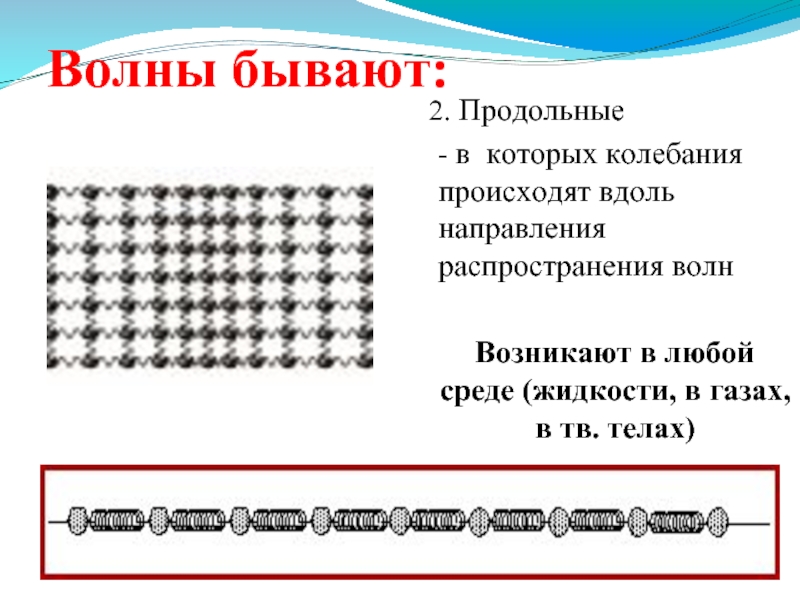 Волны и их виды. Продольная волна возникает. Продольные волны в которых колебания происходят. Продольные колебания происходят. Волны которые совершаются вдоль направления распространения.