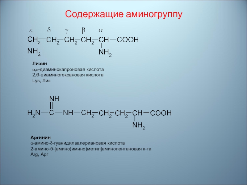 4 метилгептановая кислота. 2 6 Диаминогексановая кислота. 2 6 Диаминогексановая кислота структурная. 2 4 Диаминогексановая кислота. 2 5 Аминопентановая кислота.