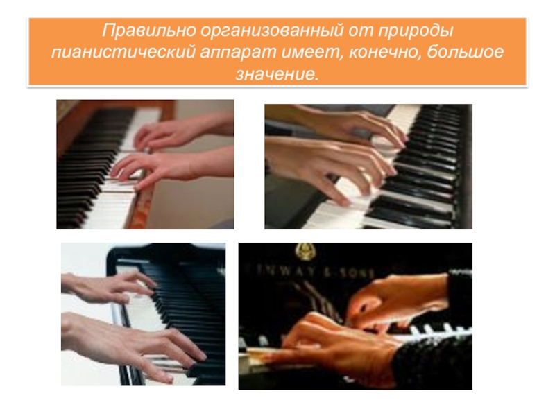 Правильно организованный от природы пианистический аппарат имеет, конечно, большое значение.