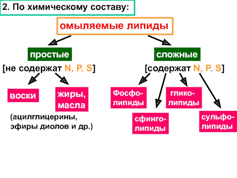 Липиды омыляемые презентация