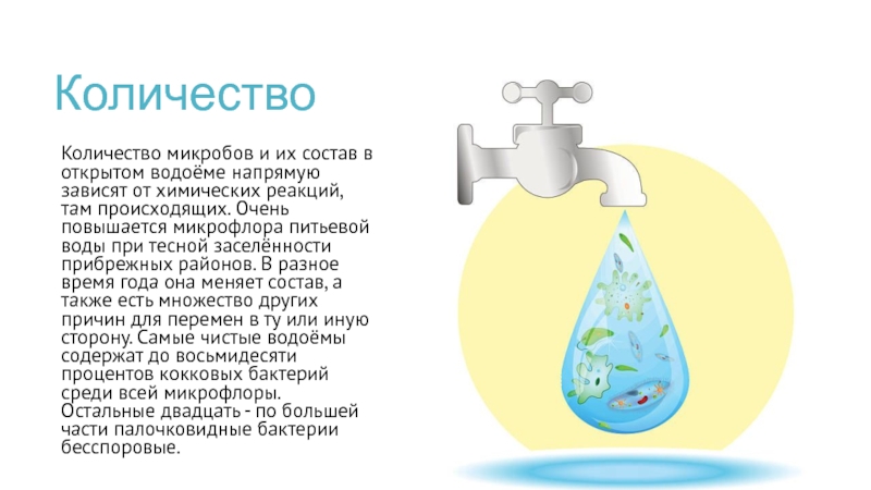 Микрофлора воды презентация