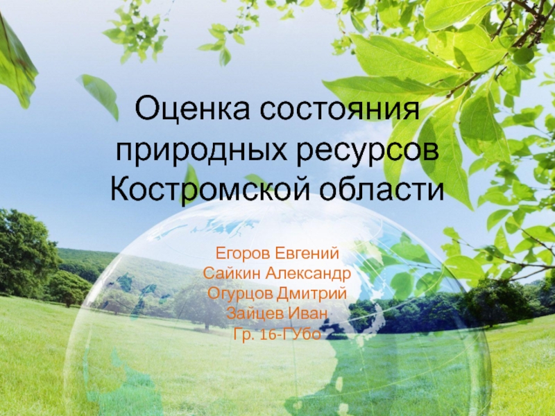 Оценка состояния природных ресурсов Костромской области