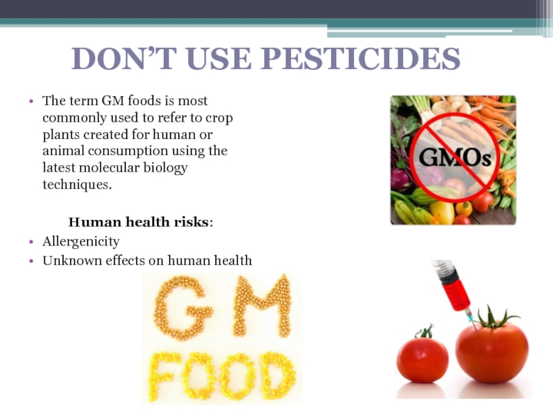 The term GM foods is most commonly used to refer to crop plants created for human or