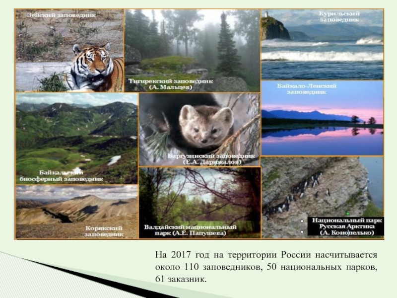 На 2017 год на территории России насчитывается около 110 заповедников, 50 национальных парков, 61 заказник.