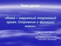 Кожа – наружный покровный орган. Строение и функции кожи