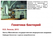 Спирали встречаются во многих областях: в архитектуре, в макромолекулах белков,