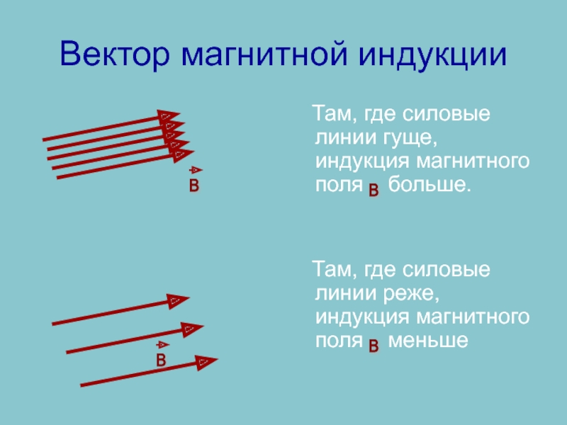 Силовые линии магнитной индукции