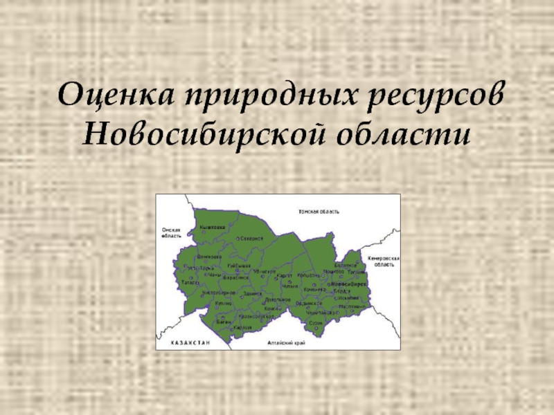 Презентация Оценка природных ресурсов Новосибирской области