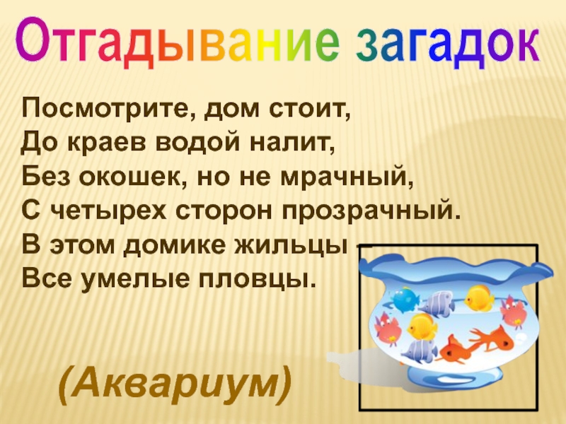 Загадка про аквариум. Загадка про аквариум для детей. Загадки про аквариум для детей 4-5 лет. Загадка про аквариум для детей 4-5. Загадка в этом домике жильцы все умелые пловцы.